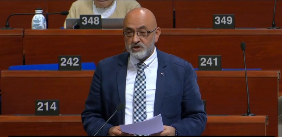 CINGI’dan Avrupa Konseyi’nde Sert Çıkış!